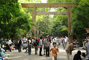おかあさん。見て。神輿が来たよ。