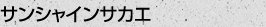 サンシャインサカエ