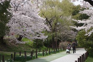 公園の入り口です