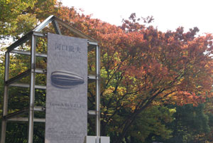 伏見通り沿いの並木道が紅葉しています。